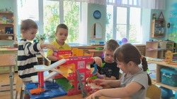  профилактика дорожно-транспортного травматизма 